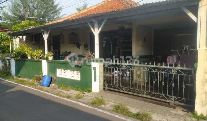 For Rent!!! Ready-to-Occupy House in the Strategic Location of Cakrawala, West Semarang 1