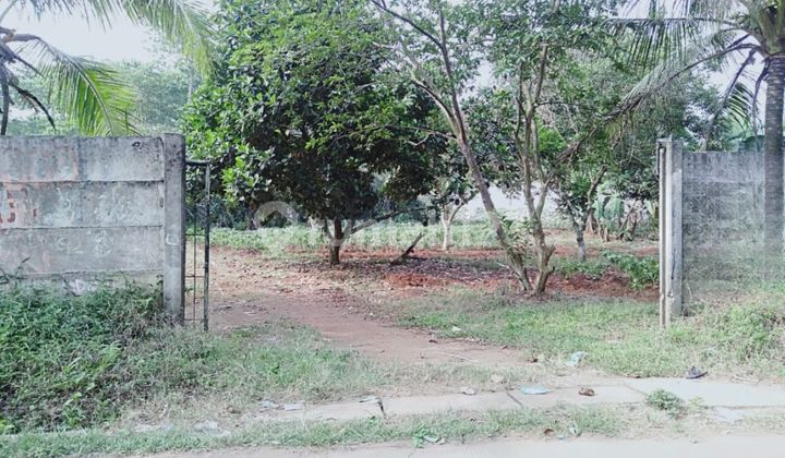 Wide Plot in Cisauk Suitable for Warehouse or Sports Hall Good Location