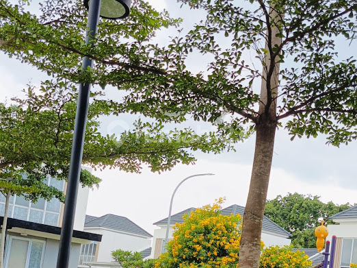 Rumah Cantik Nyaman Siap Huni Di Cluster Canna Tangerang