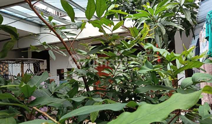 SHM House 200M2 Benhil Central Jakarta SHM House 200M2 Benhil Central Jakarta