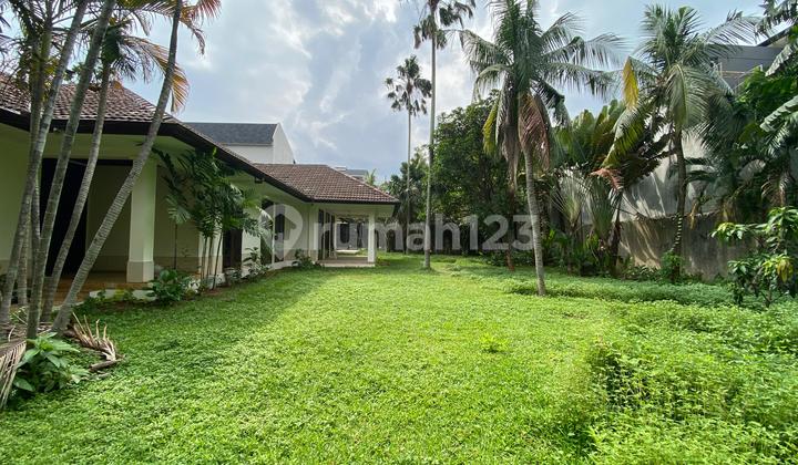 Very Large Strategic Yard Kemang South Jakarta 2