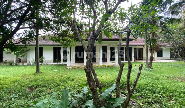 Pekarangan Sangat Luas Strategis Kemang Jakarta Selatan