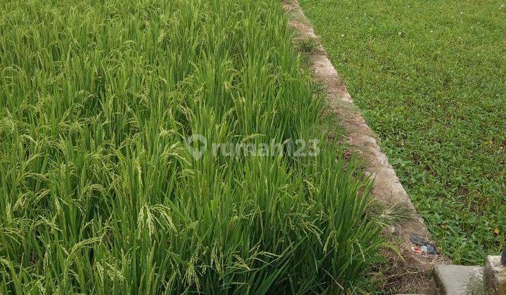 Tanah Sawah Strategis di Panenjoan Garut Jawa Barat 1