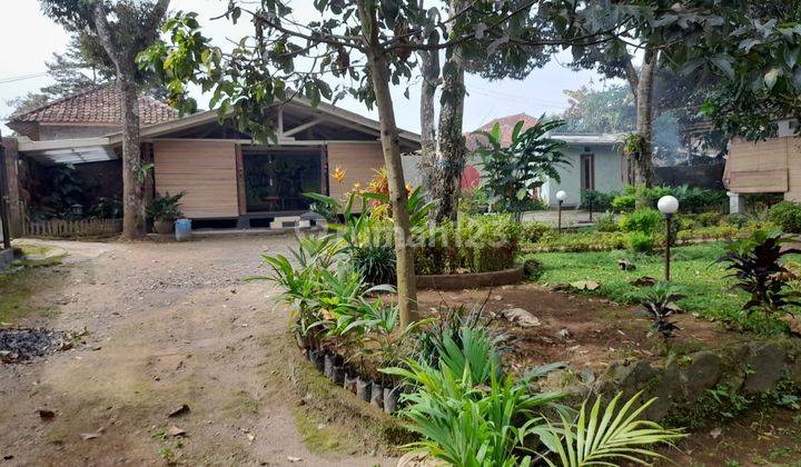 Tanah Harga Murah Bunihayu Subang Jawa Barat, Subang 1