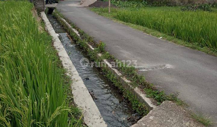 Tanah Sawah Strategis di Panenjoan Garut Jawa Barat 2