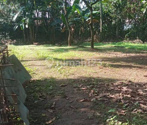 Jual Cepat Tanah Dekat Jalan Raya Parung Panjang, Bagus 1