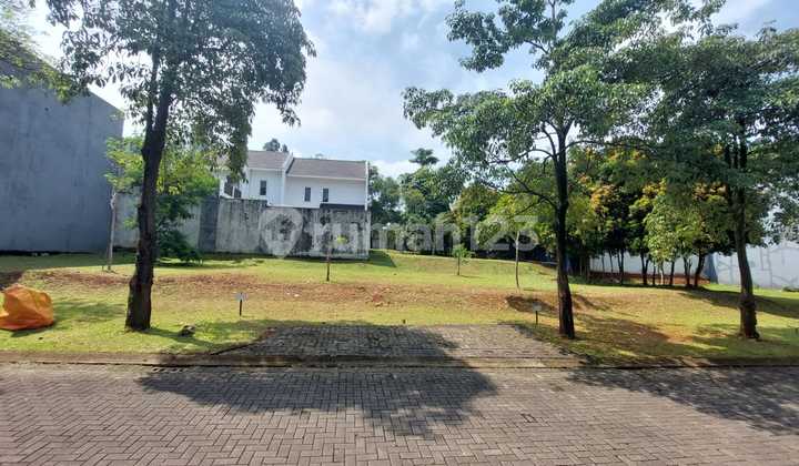 Hook Lot in The Green BSD