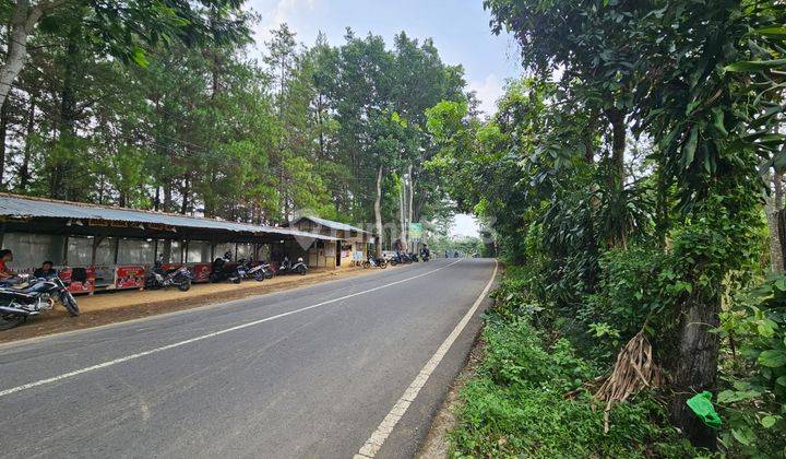 Dijual Tanah Di Jalan Raya Trawas , Desa Sukosari Mojokerto 1