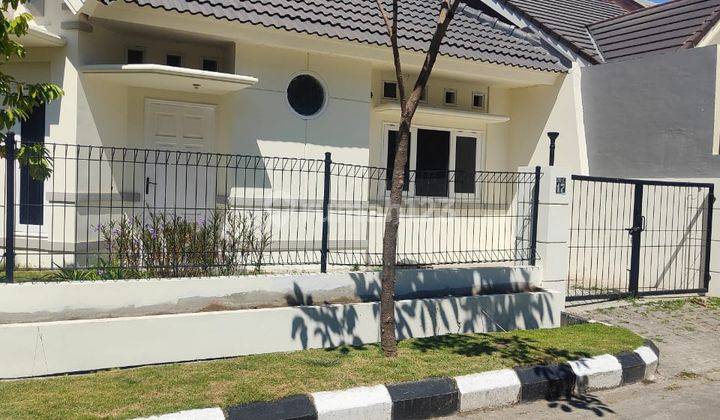 Disewakan Rumah Hook Siap Huni Di Sutorejo Prima 1