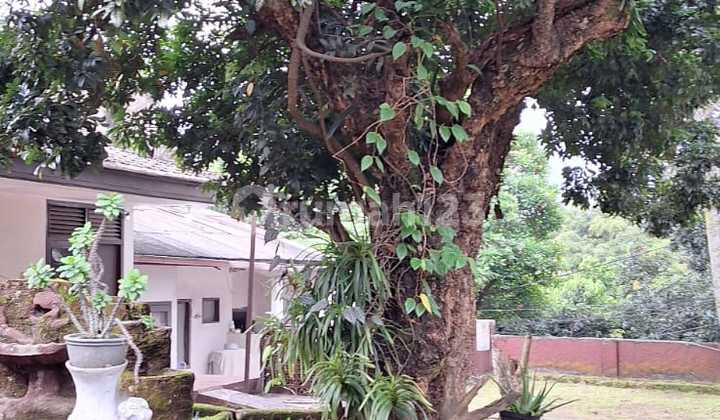 Rumah Klasik Luas di Hegarmanah, Garasi 7 Mobil & Halaman Asri 2