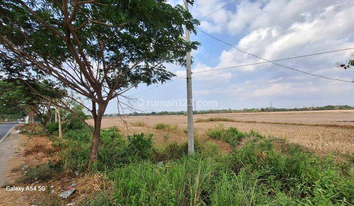 Tanah SHM Lokasi Strategis di Raya Suramadu, Bangkalan 1