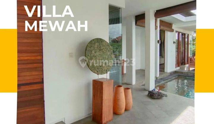 Modern minimalist villa in the tourist area of Canggu Bagus 1