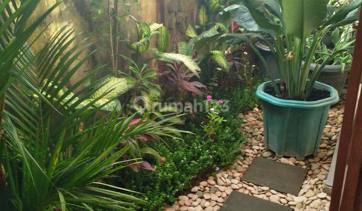 Dijual Rumah Tropis di Denpasar Barat Lingkungan Asri Nyaman, Hunian Idaman Dy 2