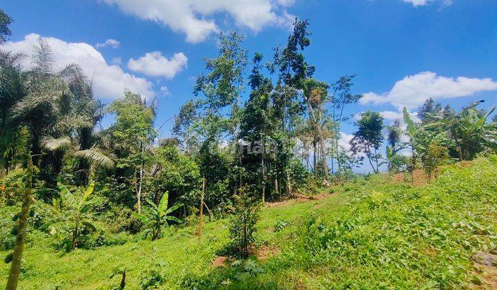 Dijual Tanah Dengan View Air Terjun Kebun Durian Kesempatan Investasi Agro Wisata di Tabanan Dy 1