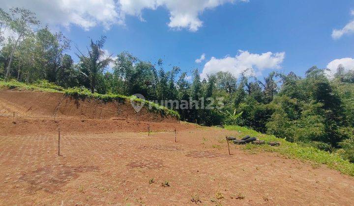 Dijual Tanah Dengan View Air Terjun Kebun Durian Kesempatan Investasi Agro Wisata di Tabanan Dy 2