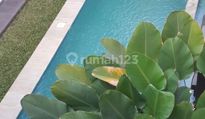 For Rent Rumah 2 Lantai + Swimming Pool Di Cipete Jakarta Selatan 2