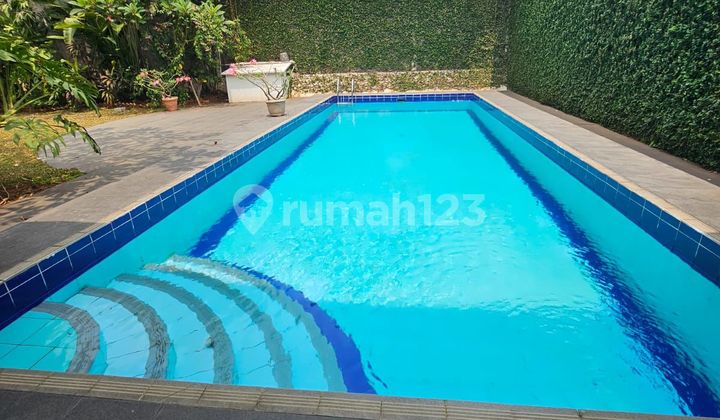 For Rent Rumah Luas, Private Pool di Pejaten Jakarta - Selatan For Rent Rumah Luas, Private Pool di Pejaten Jakarta - Selatan