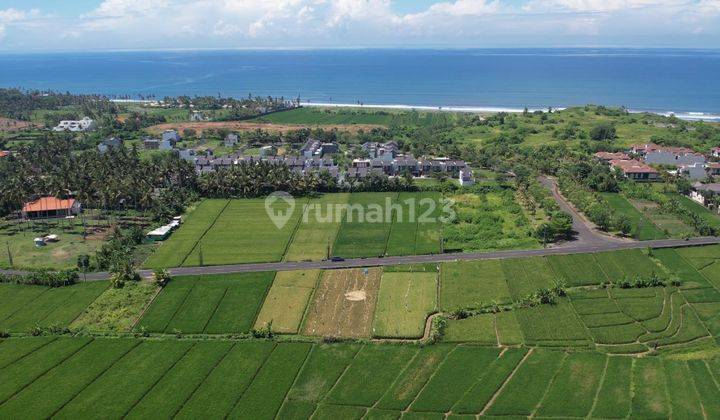 Tanah 10,9are di Kedungu, Jalan Kaki Ke Bali Beach Glamping 2