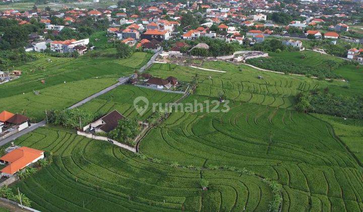 Tanah SHM Untuk Villa Di Padonan 12,3are 1