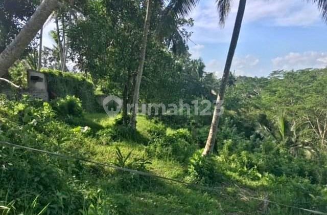 13,14 are tanah di bukit dengan pemandangan hutan dan gunung agung di Gianyar