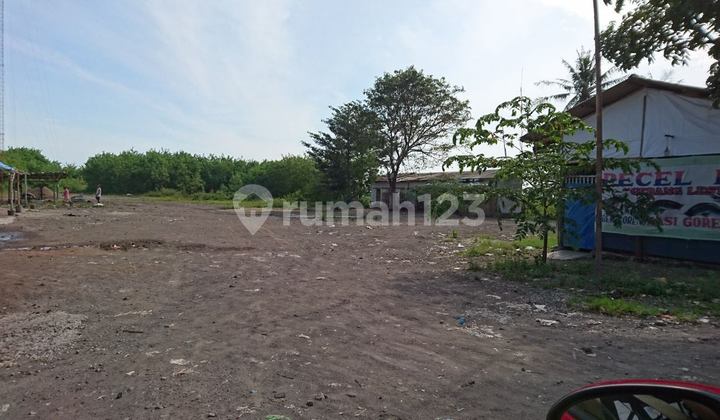 Dkavling Di Gebang Mekar Cirebon Jawa Barat