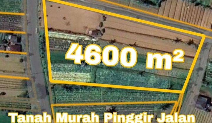 Tanah Murah Pinggir Jalan Batunya Baturiti Bedugul Tabanan Bali 1