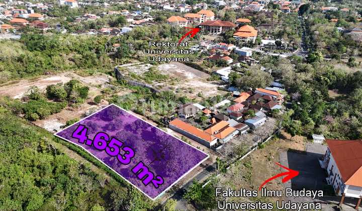 Commercial Land Campus Unud Jimbaran Bali Commercial Land Campus Unud Jimbaran Bali