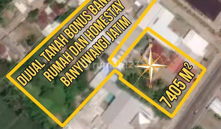 Dijual Tanah Bonus Bangunan Rumah dan Homestay Banyuwangi Jatim  1