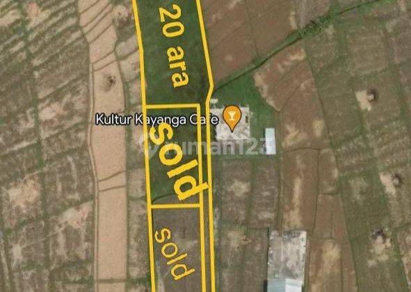 Leasehold Plot Land 2 km to Babadan Beach Pererenan Bali 1