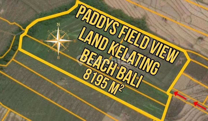 Paddys Field View Land Kelating Beach Bali 1