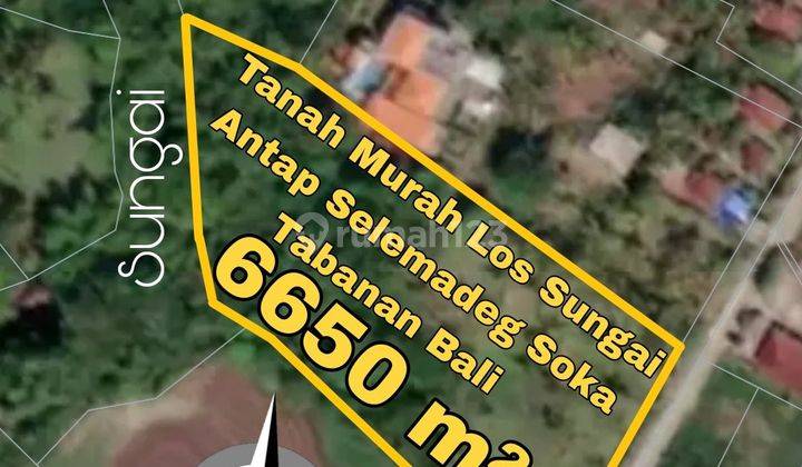 Cheap Land Los Sungai Antap Selemadeg Soka Tabanan Bali 1