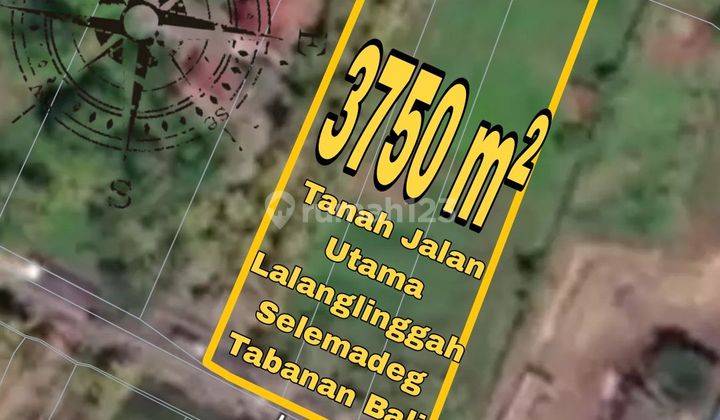 Tanah Jalan Utama Lalanglinggah Selemadeg Tabanan Bali 1