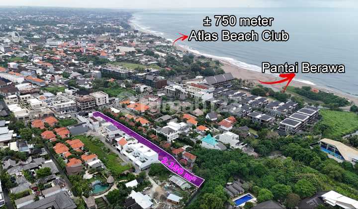 Tanah Premium Jalan Kaki Ke Pantai Berawa Tibubeneng Dan Atlas Beach Club Bali