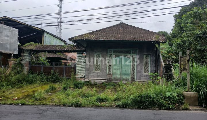Bonus Land with House Building on Main Road, Sebatu, Tegalalang, Gianyar, Bali