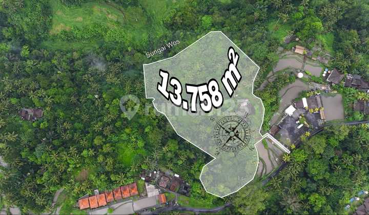 Beautiful Calm Place Rice Field Jungle View Los River Tegalalang Ubud Bali