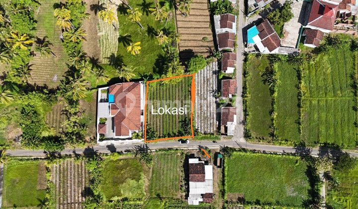 Tanah Bagus Dekat Pelabuhan Ketapang Kalipuro Banyuwangi 1