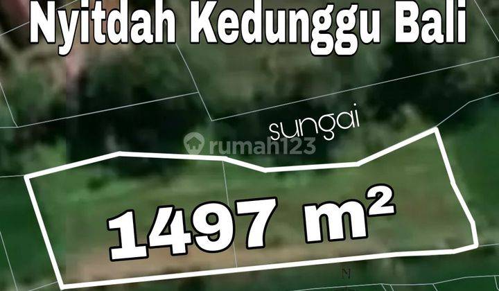 Cheap Land Los Sungai Nyitdah Kedunggu Bali 1