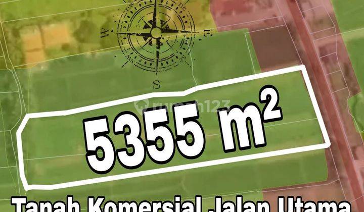 Tanah Komersial Jalan Utama Kedewatan Ubud Bali 1