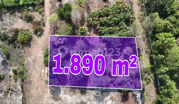 Tanah Tengah Kampus Unud Jimbaran Bali Tanah Tengah Kampus Unud Jimbaran Bali