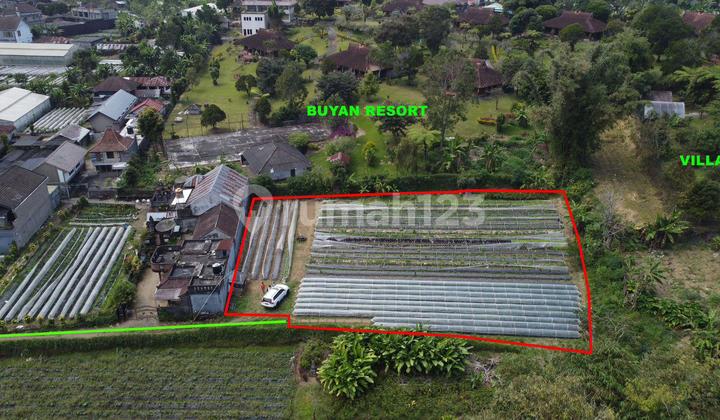 Tanah Bagus View Danau Buyan Pancasari Sukasada Buleleng Bali 1
