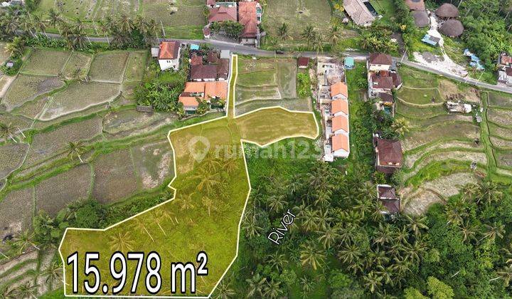 Beautiful Vacant Land with amazing View Los River Kenderan Ubud Bali 1