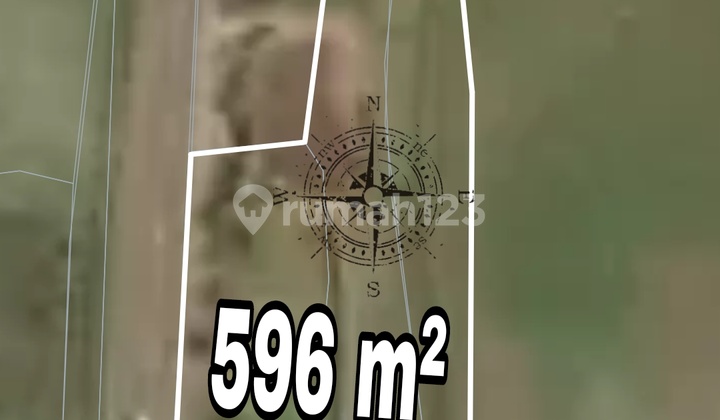 Tanah Komersial View Sawah Raya Sebali Ubud Bali Tanah Komersial View Sawah Raya Sebali Ubud Bali