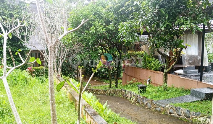 Rumah 1 Lantai SHM di Ciawi 2