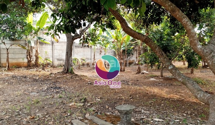 Tanah Shm Ha Di Cileungsi Cocok Untuk Perumahan Tanah Shm Ha Di Cileungsi Cocok Untuk Perumahan