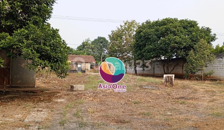 Tanah Shm Ha Di Cileungsi Cocok Untuk Perumahan Tanah Shm Ha Di Cileungsi Cocok Untuk Perumahan