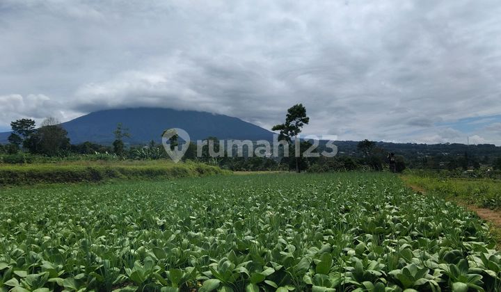 Tanah di Megamendung Puncak Dekat Vimala Hills. Good Invest