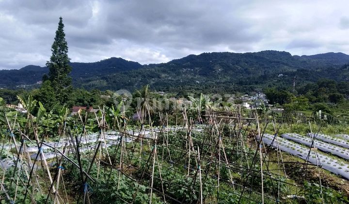 Tanah di Puncak Strategis Dekat Jalan Raya Puncak. Good Invest