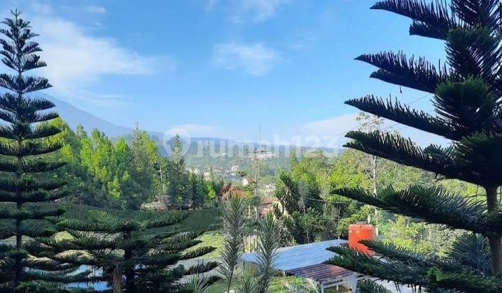 Villa Strategis di Megamendung Jalan Alternatif Puncak Bogor