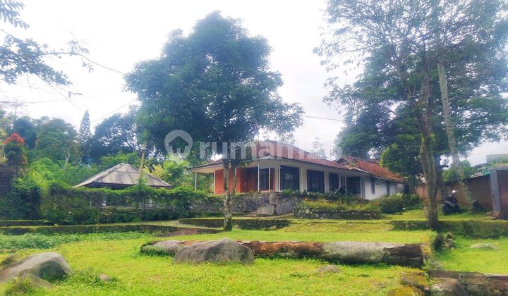 Villa for Sale in Puncak Bogor. Strategically Located, Comfortable and Peaceful Near the Highway. Villa for Sale in Puncak Bogor. Strategically Located, Comfortable and Peaceful Near the Highway.