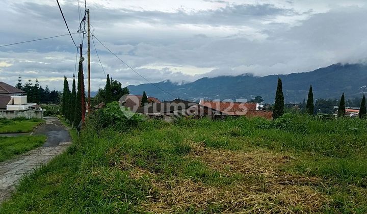Tanah Dijual Puncak Bogor. Good View Dekat Taman Safari Tanah Dijual Puncak Bogor. Good View Dekat Taman Safari
